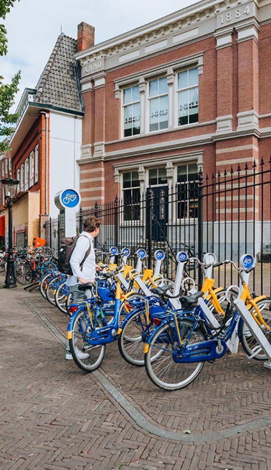 Een rij OV fietsen staat klaar voor deelnemers aan een persreis