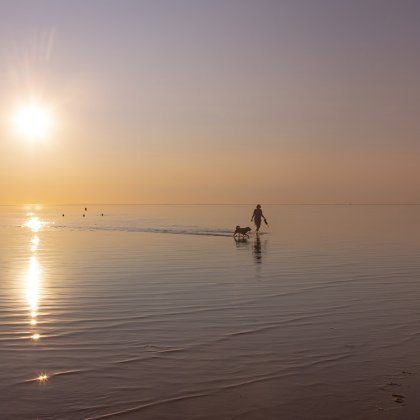 Vrouw met hond, wandelend op een zomeravond door de zee bij Rockanje in Zuid-Holland