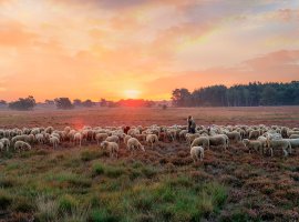 Nederland overal aantrekkelijk