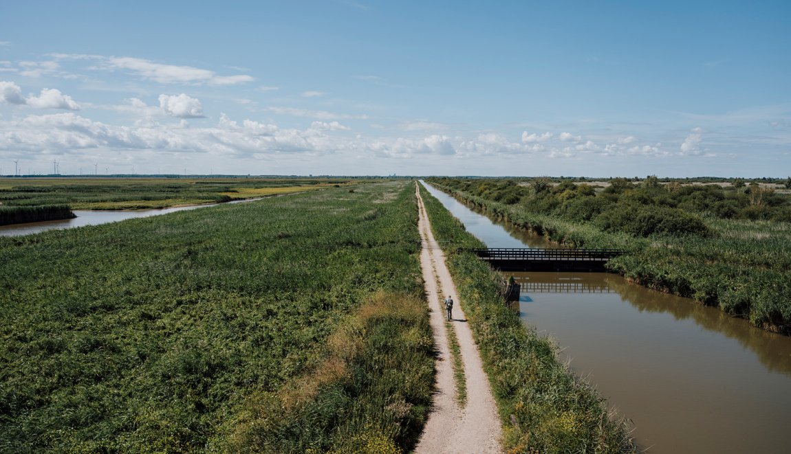 Wandelaar op dijkpadlangs water Oostvaardersplassen