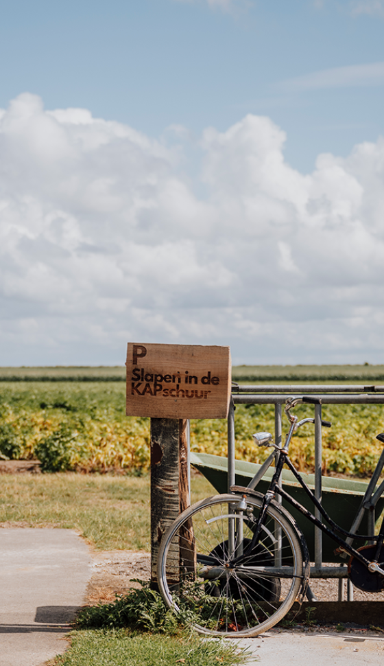 Tegen een hek met een bordje 'Slapen in de KAPschuur' staat een fiets geparkeerd, met achterop een mand vol bloemen.