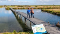 Wandelen in de polder over het waterbergingsgebied over houten looppad Schalkwijk Wandelen in de polder over het waterbergingsgebied over houten looppad Schalkwijk
