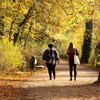 Vrouwen wandelen in het Noorderplantsoen in Groningen tijdens de herfst