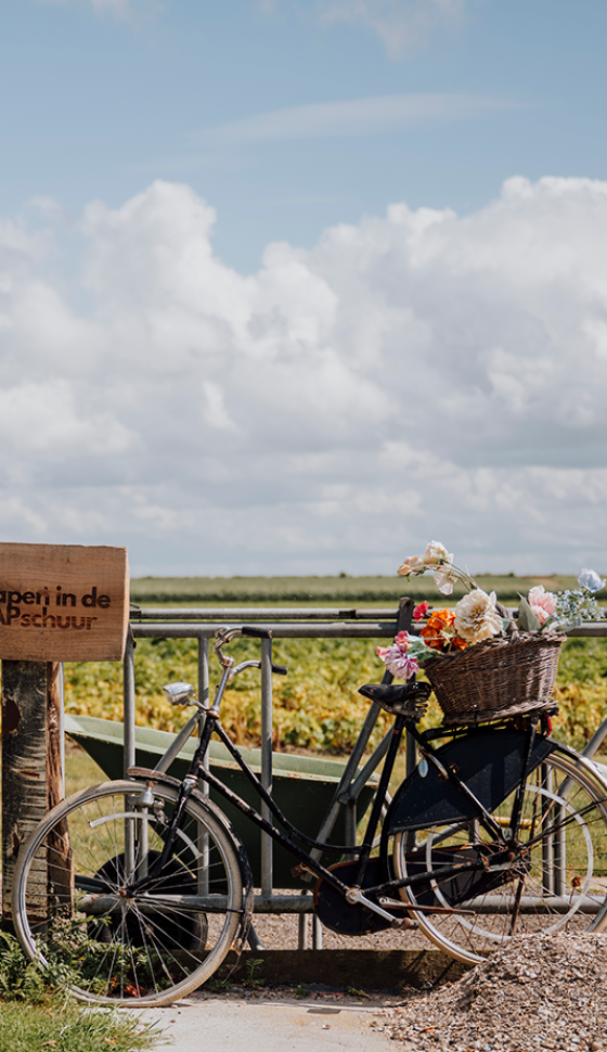 Tegen een hek met een bordje 'Slapen in de KAPschuur' staat een fiets geparkeerd, met achterop een mand vol bloemen.