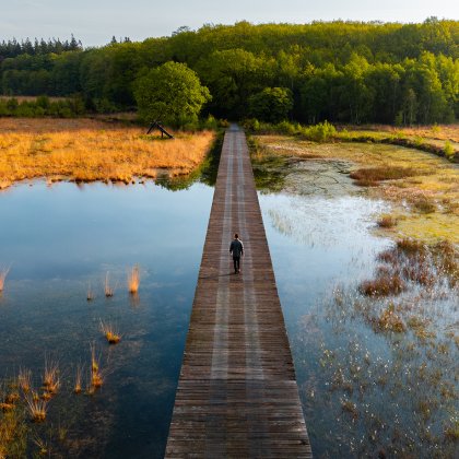 Luchtfoto wandelaar op een vlonderpad in Nationaal Park Drentsche Aa