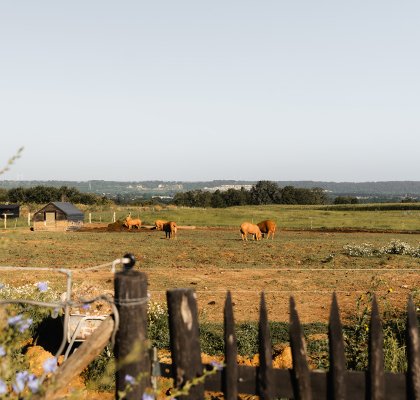 Doorkijkje over het glooiend Limburgse heuvellandschap