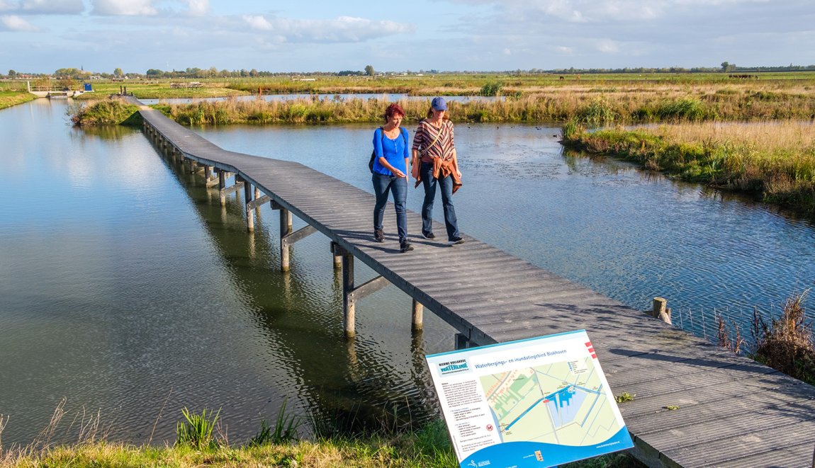 Wandelen in de polder over het waterbergingsgebied over houten looppad Schalkwijk