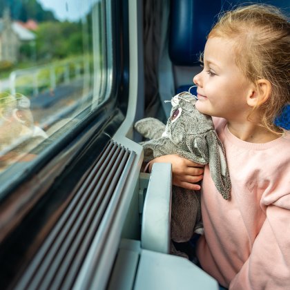Meisje in de trein met knuffel kijkt naar buiten