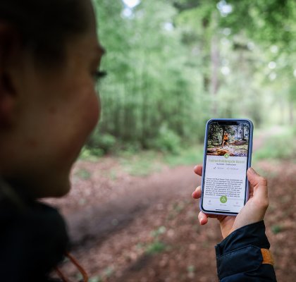 Dame zoekt route op in de app in de Achterhoek