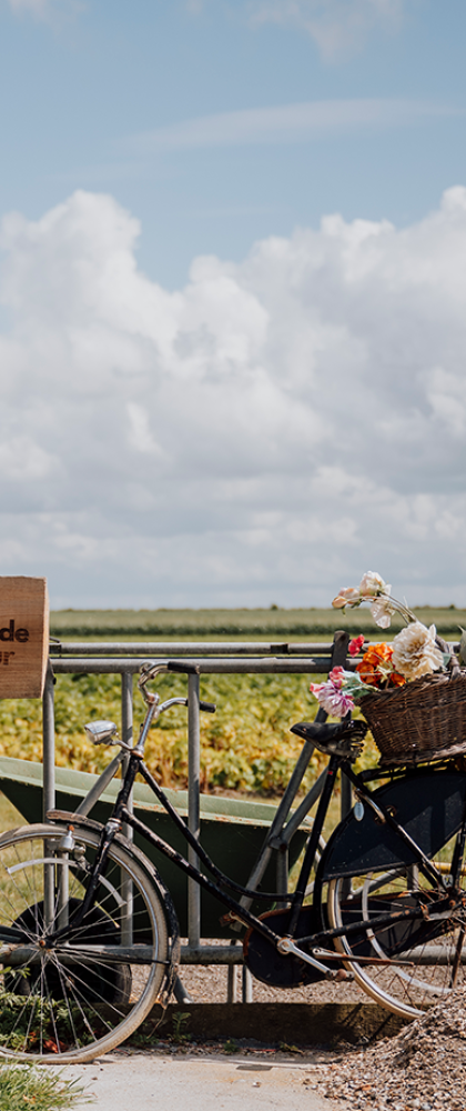Tegen een hek met een bordje 'Slapen in de KAPschuur' staat een fiets geparkeerd, met achterop een mand vol bloemen.