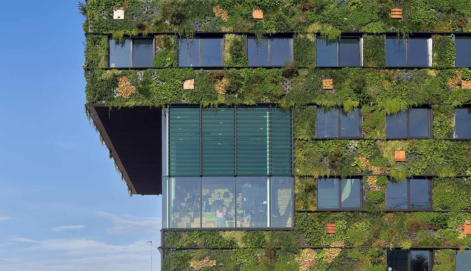 The greenest and most sustainable college Aeres Almere The greenest and most sustainable college Aeres Almere