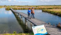 Wandelen in de polder over het waterbergingsgebied over houten looppad Schalkwijk