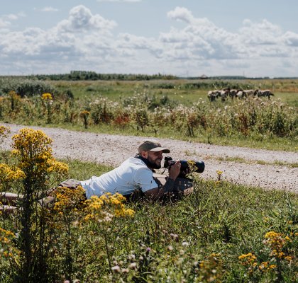 Flevoland Oostvaardersplassen fotograaf wachtend op het perfecte plaatje