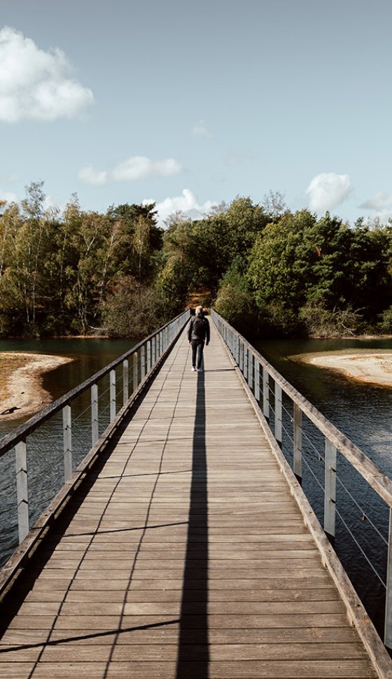 Wandelaar op de brug over de Maasduinen