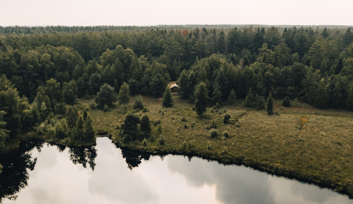 Verscholen Drentse cabin nabij water in het bos.