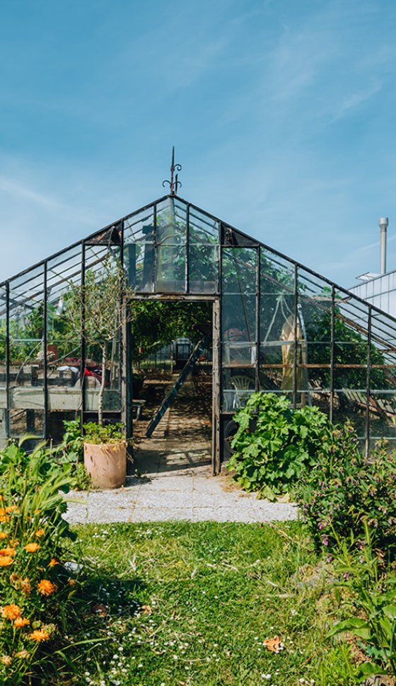 Frontaal beeld van een kas met bloemen op de voorgrond.